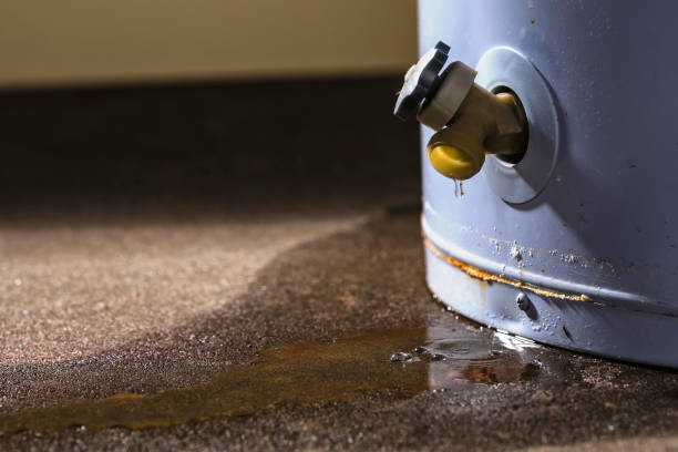 Best Water damage cleanup near me  in Waverly, NY