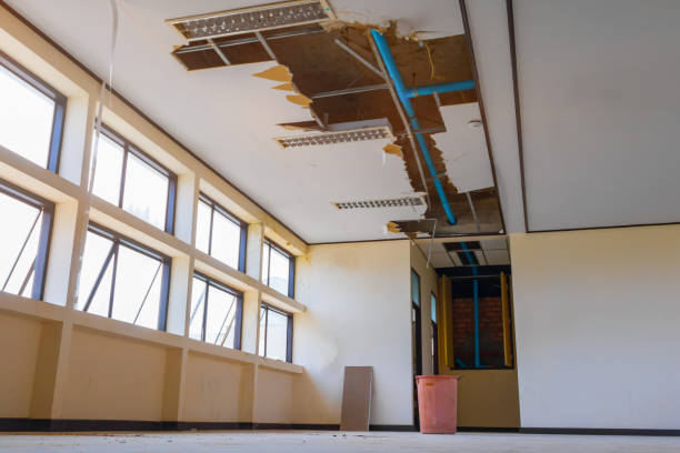 Best Flood restoration services  in Waverly, NY