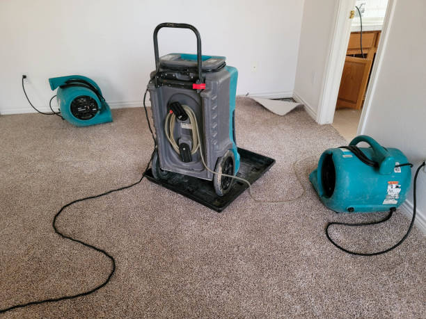 Reliable Waverly, NY Water damage restoration Solutions