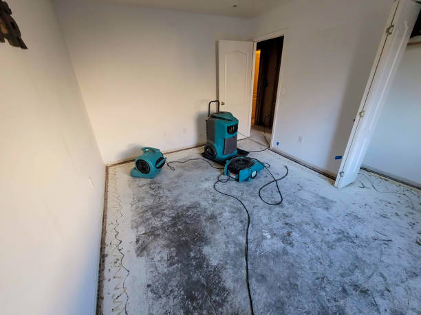 Best Commercial water damage restoration  in Waverly, NY