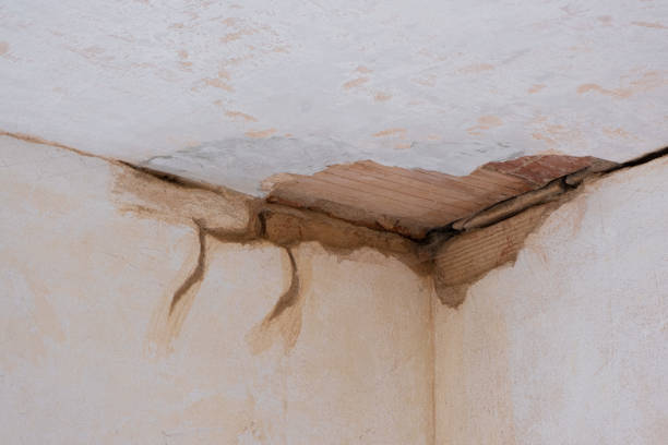 Best Fire Damage Restoration  in Waverly, NY