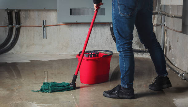 Best Water damage restoration near me  in Waverly, NY