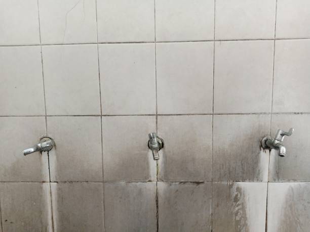 Best Basement water damage restoration  in Waverly, NY