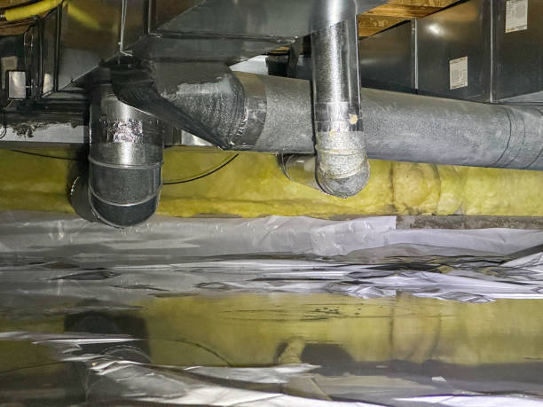 Water damage restoration mold remediation in Waverly, NY