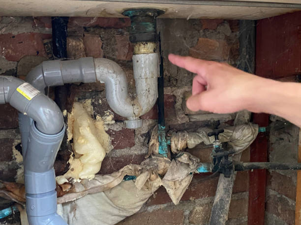 Best Water damage restoration near me  in Waverly, NY